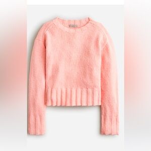 J. Crew Relaxed Crewneck Sweater pink XL nwt